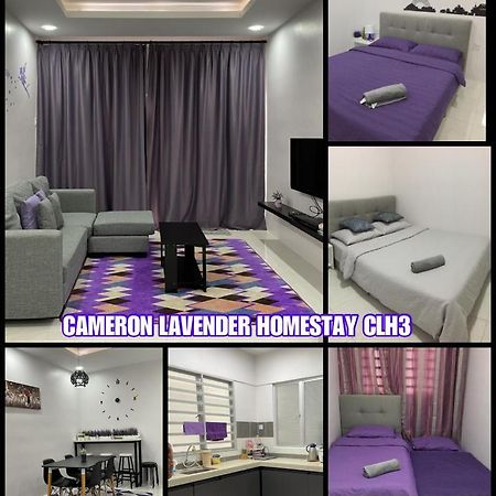 Cameron Lavender Homestay 3 Tanah Rata Exterior foto